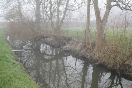 resize-of-gracht-met-bomen-achter-nh-pastorie-in-de-mist-feb-2008 Gracht achter de Hervormde pastorie, februari 2008