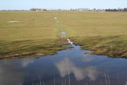 Weilandgebied nu, ten westen van Noordhorn, het terrein van de Slag toen....