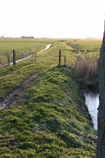 De oude weg westwaarts, nog herkenbaar tussen de weilanden, richting Niezijl, waar het strijdtoneel was van de Slag bij Noordhorn