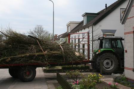 Forse hoeveelheden snoeihout richting Paasbult op het ijsbaanterrein  