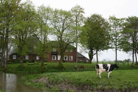 Bijzondere boerderij met poserende koe. Eens zien of het BOERDERIJENBOEK hierover iets te melden heeft....
