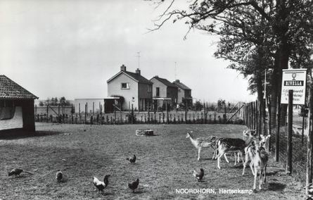Hertenkamp Langestraat (1966 - ?)
