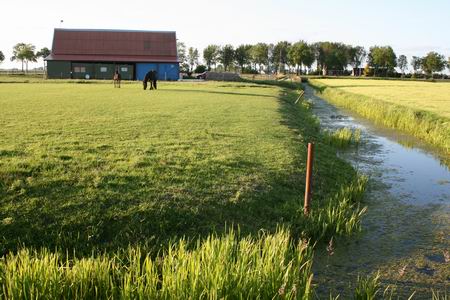 Resize of 20090616_9999_29 Weiland, paarden en schuur van Jan Tempel; bekeken vanaf de Oude Weg