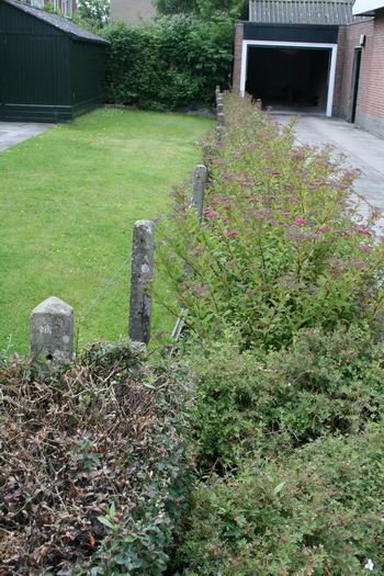 De afrastering met oude, cementen palen tussen Pol en Van Leijsen. Rechts ervan begon Het Buurtje. 