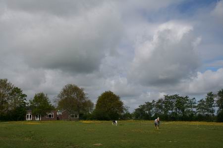 De nieuwe Dorpsstee gezien vanuit het oosten, de prachtige wolkenlucht heeft geen symbolische waarde... 