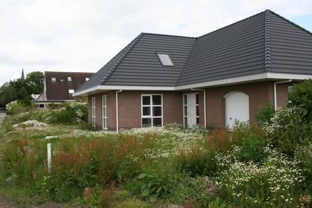 Resize of Henk Bakker 22062009 Henk Bakkers landhuis met de natuurlijke wildgroei op kunstmatige grondbulten