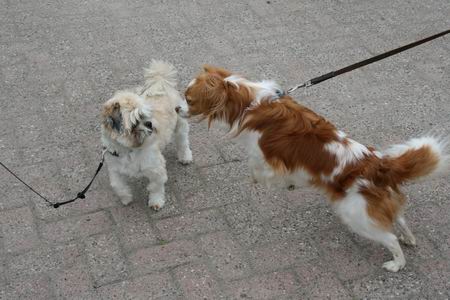 Wat zij er van dachten? Tja... 