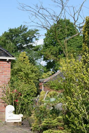 Oplossing graag voor 10 juni a.s. naar het bekende adres. Succes!