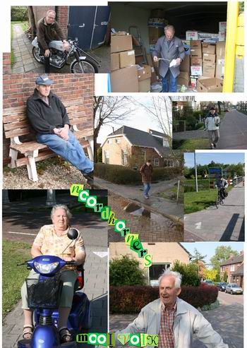 Noordhorners, naturel, onbespoten....