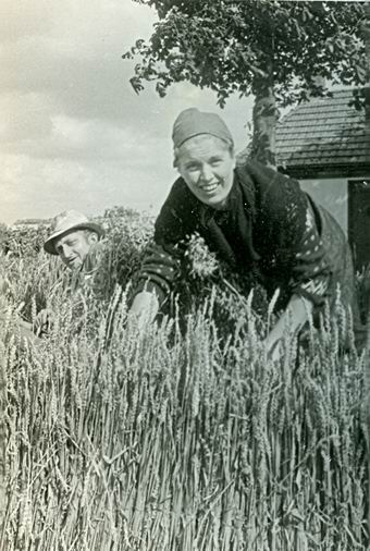 Tafereel op een van de praalwagens 5 mei 1970, Noordhorn