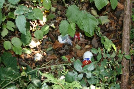 Resize of blikjes (4) 29082009 Bierblikjes in de sloot, je ergert je dood...