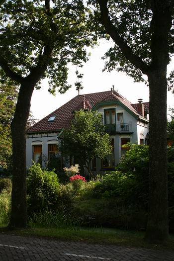 Hoe je het ook bekijkt, fascinerend! Ook vanaf de Langestraat, tussen de eiken door! 