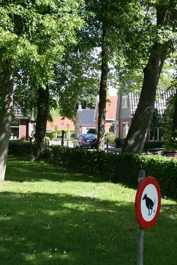 Ook bij de NH-kerk wordt duidelijk aangegeven dat het groen daar niet bedoeld is als hondentoilet... 