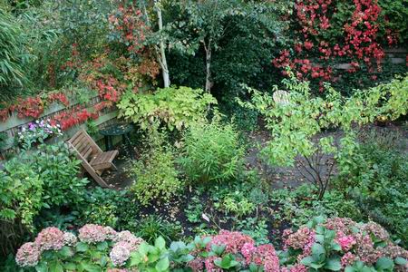 Prachtig kleurenpalet in de eigen achtertuin, kleurrijk op weg naar de winter! 
