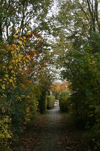 Resize of 20091027_9999_29