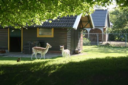 Het hertenkamp moet niet alleen blijven bestaan, maar kan beslist beter worden gepromoot. Wegwijzers? Paneel met historische Noordwijkinformatie?