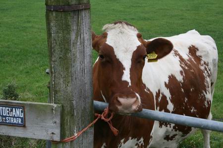 een relativerend oog...