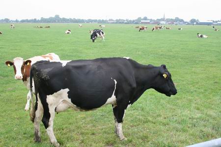 Fotograaf, schiet op! Zo'n plaatje schieten hoeft toch geen uren te duren.... 