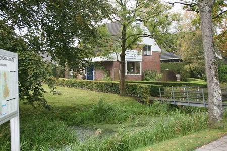Het al te groene van de zomer verandert van tint, de groenkorrels in de blaadjes trekken zich via de boombast terug naar het wortelgestel, winterbevreesd... Andere korrels hebben minder haast en bieden ons een kleurrijke overgang naar de winter. Tere tinten, steeds weer anders....