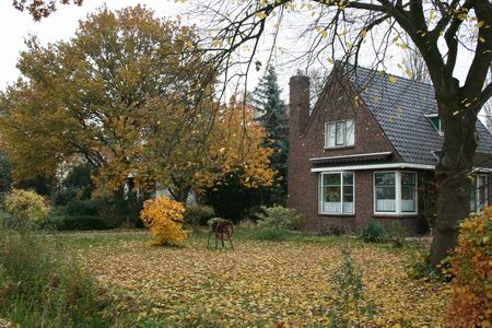 Resize of Langestraat Zuid (1) 30102009 Resize of Langestraat Zuid (1) 30102009