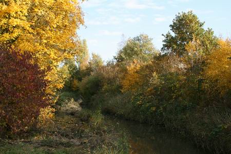 Resize of Schipsloot (1) 28102009 Resize of Schipsloot (1) 28102009