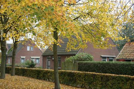 Resize of Torenhof (4) 30102009