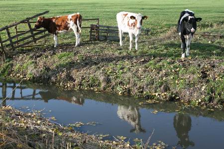 Resize of weiland Mokkenburg (3) 28102009 Resize of weiland Mokkenburg (3) 28102009