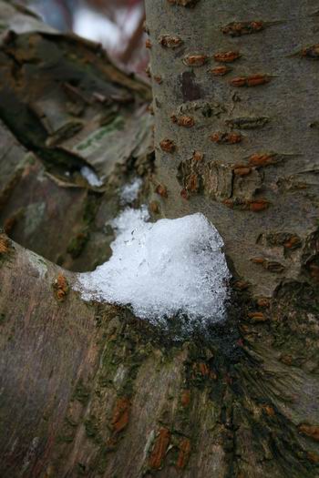 Resize of Dooi (10) 16012010