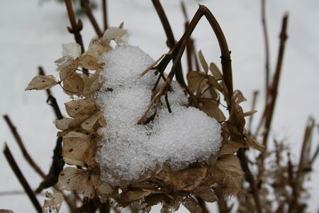 Resize of Dooi (5) 16012010