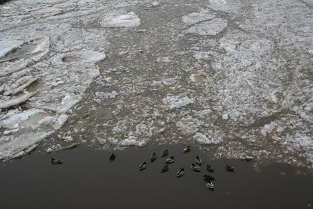 Resize of Dooi kanaal (1) 16012010