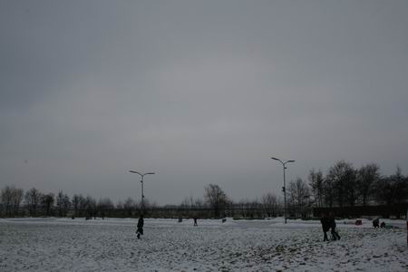 Resize of 20100214_9999_16