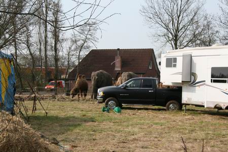 Resize of 20100413_9999_24