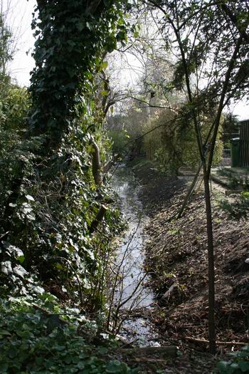 Resize of 20100413_9999_4