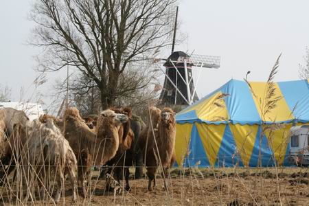 Resize of 20100413_9999_8