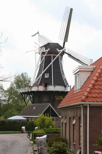 Resize of 20100515_9999_8