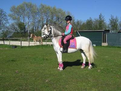 Resize of dochter Stenekes