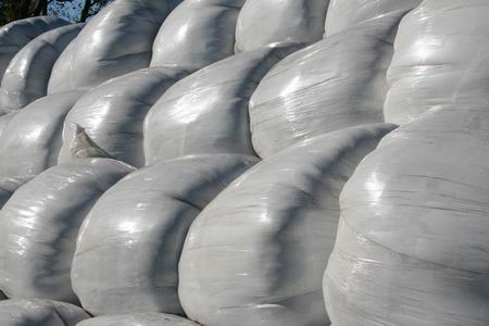 Resize of Balen gras 17102010