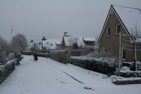 Resize of Esdoornstraat Zuid 02 17122010