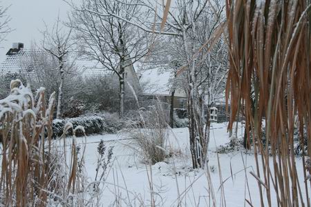 Resize of Noordwijkweg vanaf VO 17122010