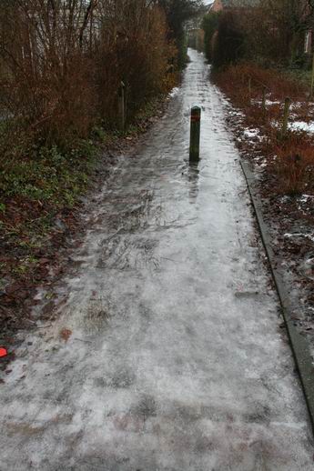 Resize of 20110106_9999_2