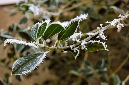 Resize of Hulst winter maart 2005