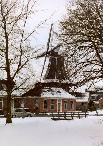 Resize of Noordhorn zicht op molen winter maart 2005