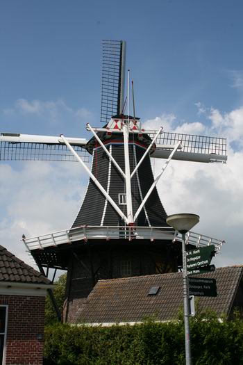 Resize of 20110710_9999_3