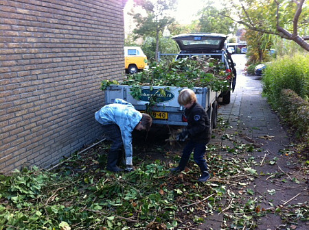klimopgroen opruimen 01-1