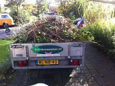 klimopgroen opruimen 02-1