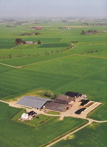 De boerderij van Stigter op een fraaie luchtfoto. (De foto met de schuurtjes moet je hier rechts naast plaatsen...) Het nieuwe voorhuis is van 2002, het verving het voorhuis dat in 1954 was gebouwd. De ligboxenstal is van 1976, verlengd in 1990.