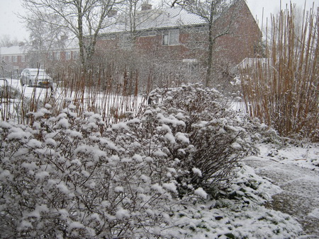 Sneeuwbeeld vanuit de voordeur (2). Ander deel van de Verlengde Oosterweg....