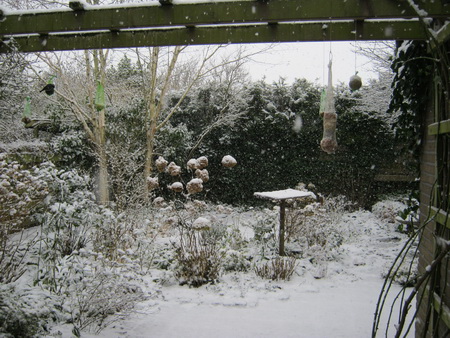 Sneeuwbeeld vanachter het keukenraam, focus op de achtertuin...