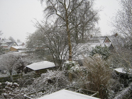 Sneeuwbeeld vanuit een slaapkamerraam, witbesneeuwde daken en bomen richting Noorderweg-Langestraat-Nieuwstraat