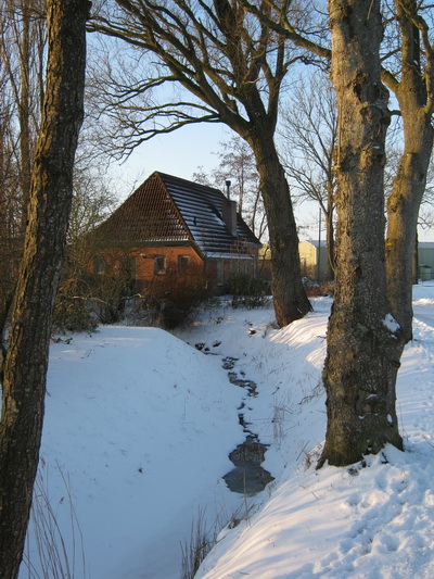 Door het grillige lijnenspel van boomstammen, takken en sloot krijgt het Hekkemahuis een fraaie omlijsting!